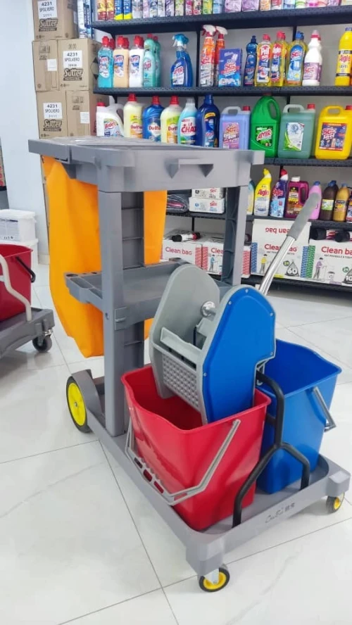 chariot plastique double seaux 