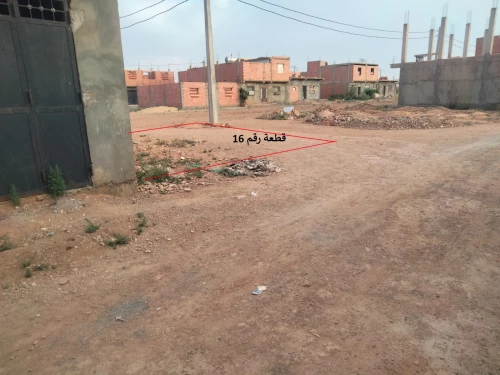 Vente Terrain Sidi Bel Abbès Oued sefioun