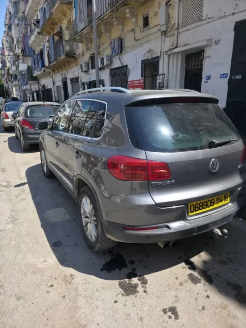 Volkswagen Tiguan 2014 CUP