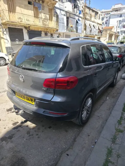 Volkswagen Tiguan 2014 CUP