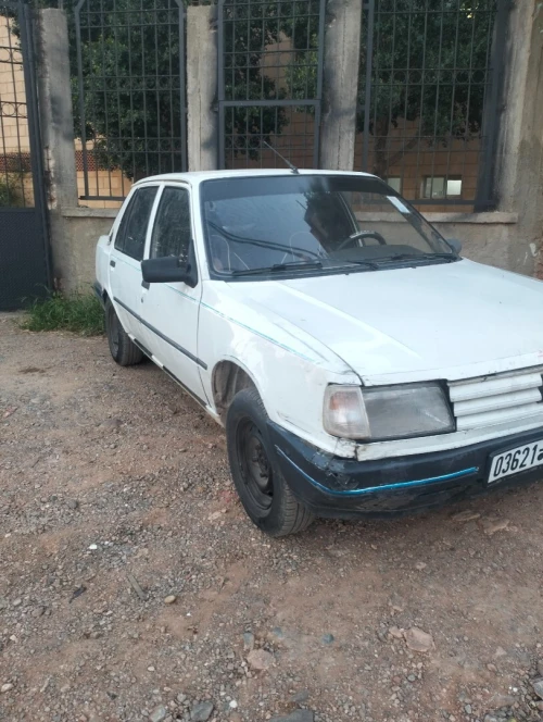 Peugeot 309 1989 309
