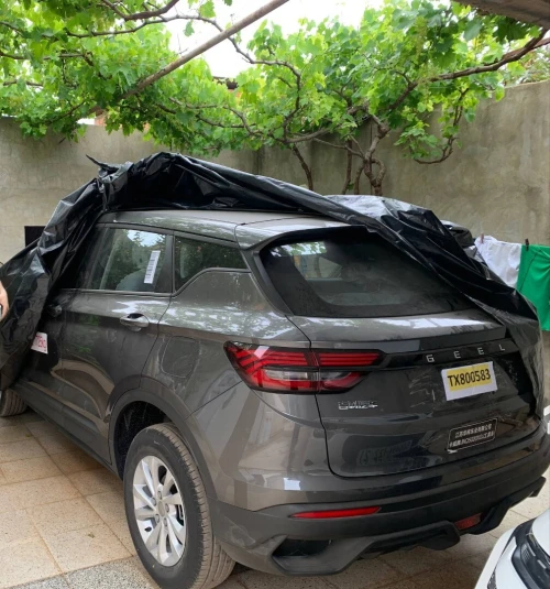 Geely Coolray 2026 Normal
