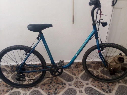 Vélo Cabourg