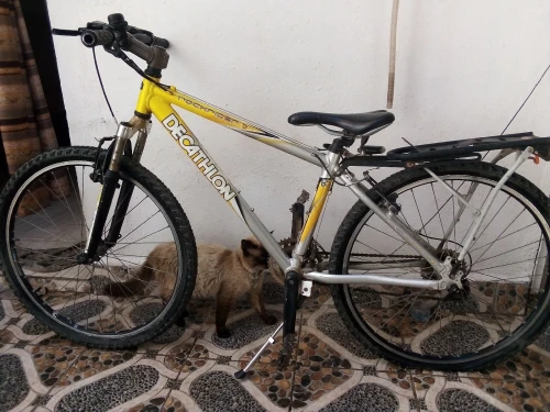 Vélos 26p marque Decathlon