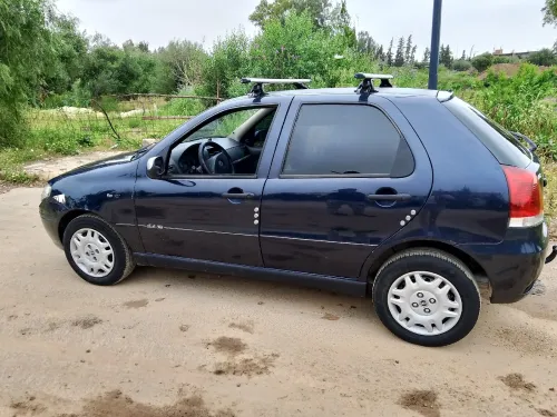 Fiat Palio 2007 Fire