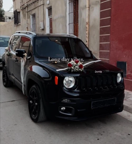 Jeep Renegade 2016 4/4
