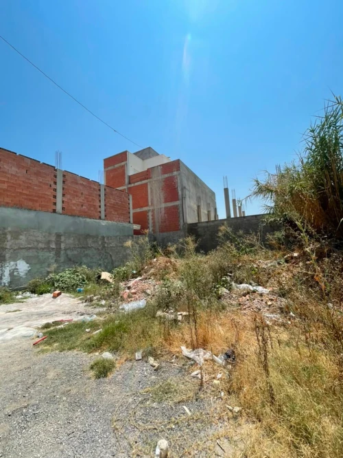 Vente Terrain Blida Chebli