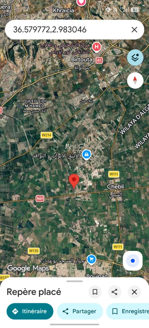 Vente Terrain Blida Chebli 6