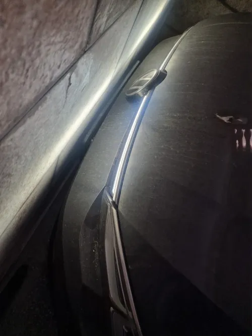 Volkswagen Golf 8 2023 Move