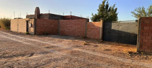 Vente Terrain Agricole Djelfa Ain el ibel