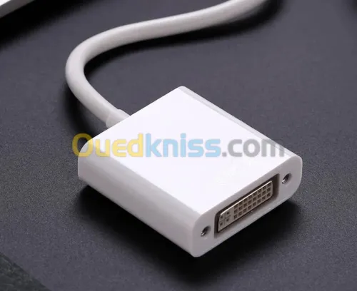 Adaptateur Mini DisplayPort (Mini DP) Male vers DVI-I Dual Link Femelle 15 cm