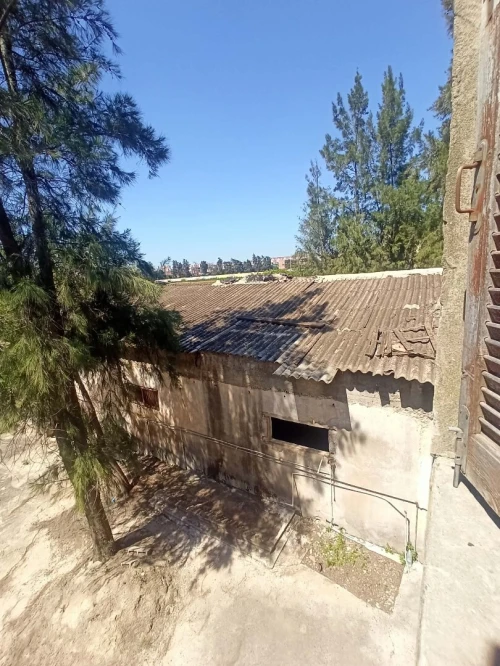 Vente Terrain Alger Ouled chebel