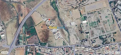 Vente Terrain Tlemcen Mansourah