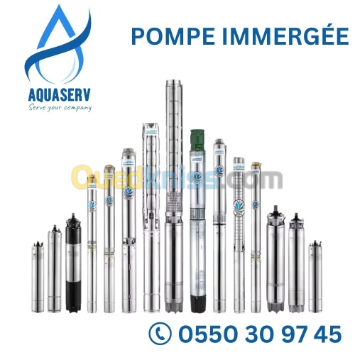 POMPE IMMERGÉE