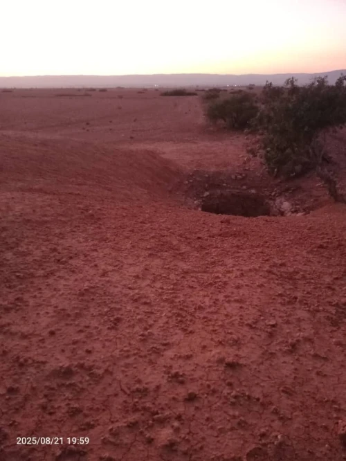 Vente Terrain Agricole Sidi Bel Abbès Sfissef