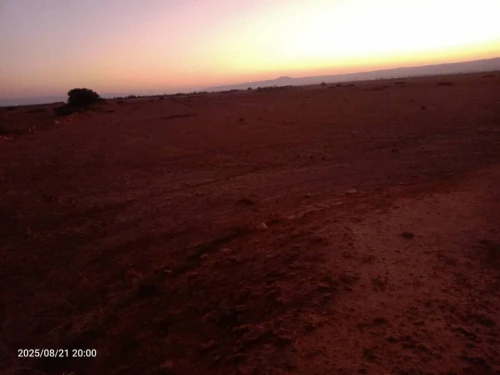 Vente Terrain Agricole Sidi Bel Abbès Sfissef