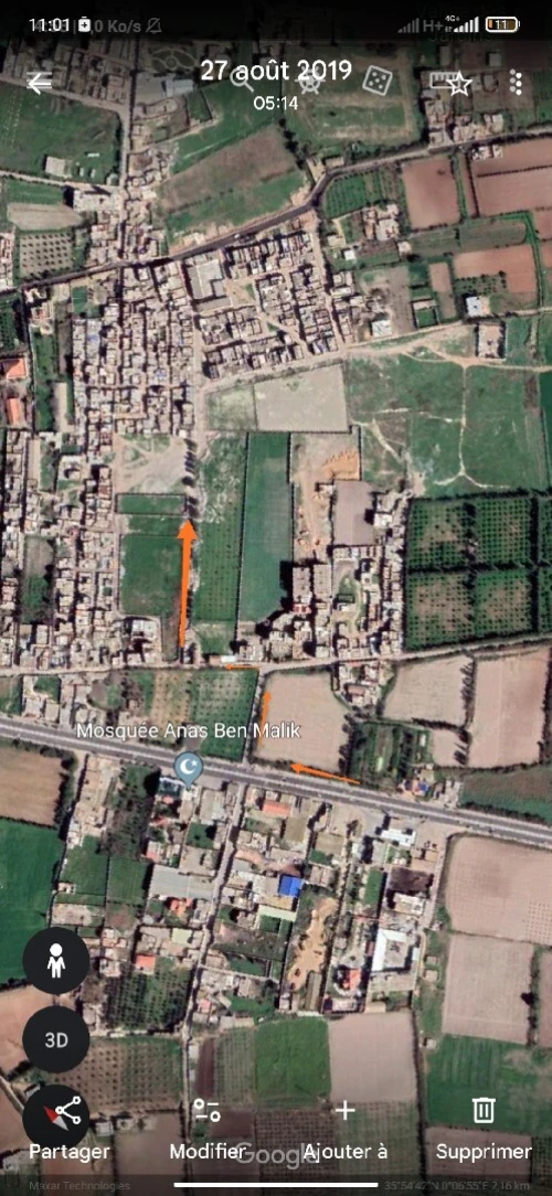 Vente Terrain Mostaganem Sayada
