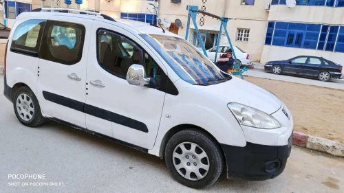 Peugeot Partner 2009 Tepee