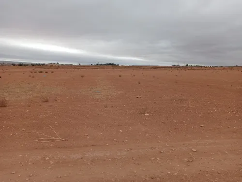 Vente Terrain Agricole Sidi Bel Abbès Amarnas