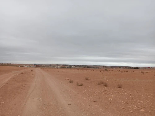 Vente Terrain Agricole Sidi Bel Abbès Amarnas