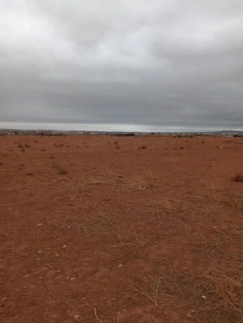 Vente Terrain Agricole Sidi Bel Abbès Amarnas