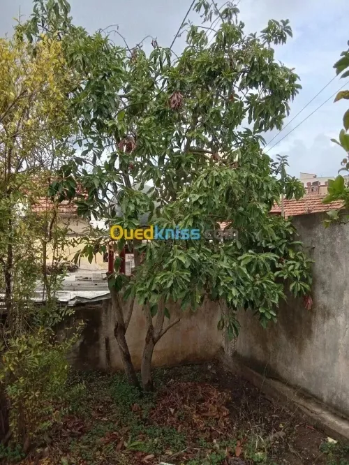 Vente Villa Alger Bouzareah
