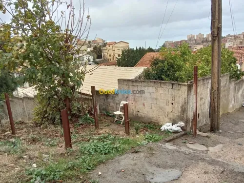Vente Villa Alger Bouzareah