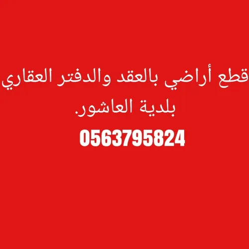 Vente Terrain Alger El achour
