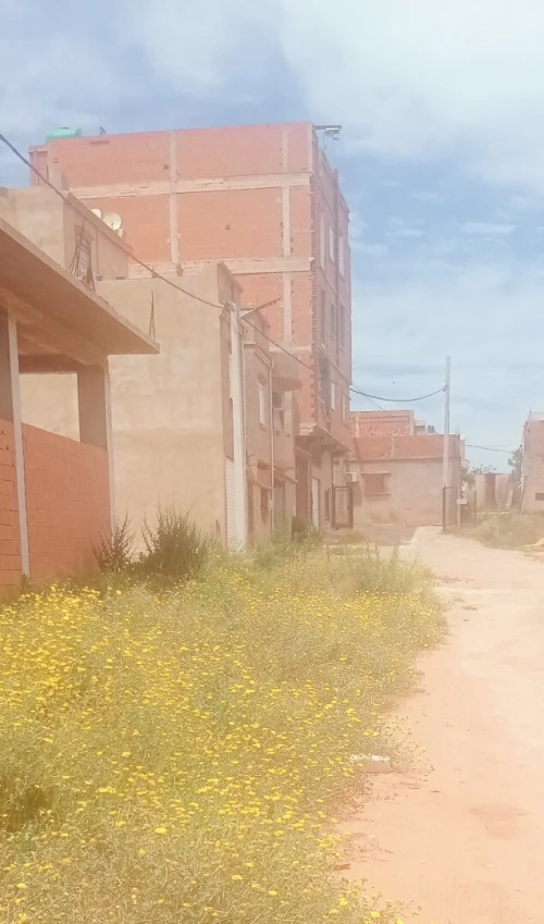 Vente Terrain Mostaganem Mostaganem