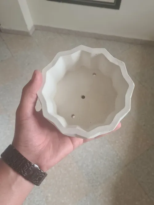 Pot en ciment إصيص إسمنتي