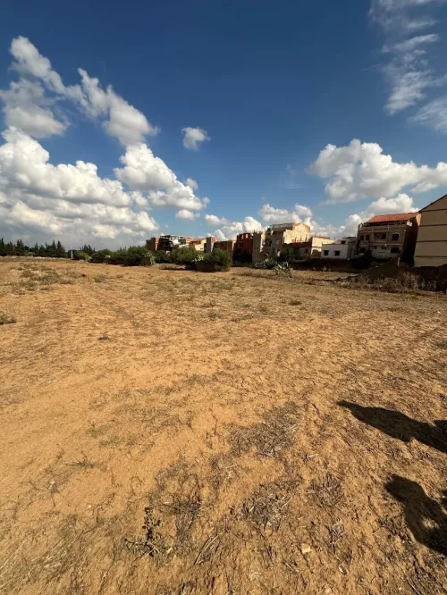Vente Terrain Blida Chiffa