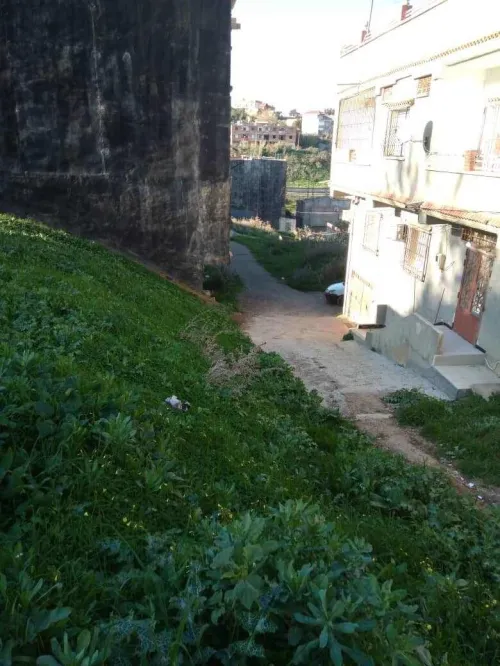 Vente Terrain Boumerdès Ouled moussa