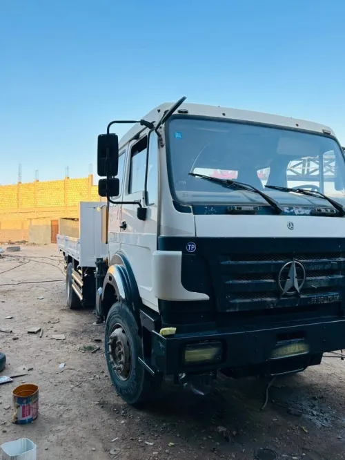 Camion grue transport levage toute distance 