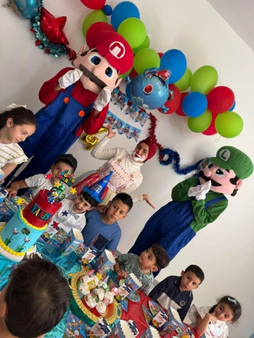 Location Mario & Luigi