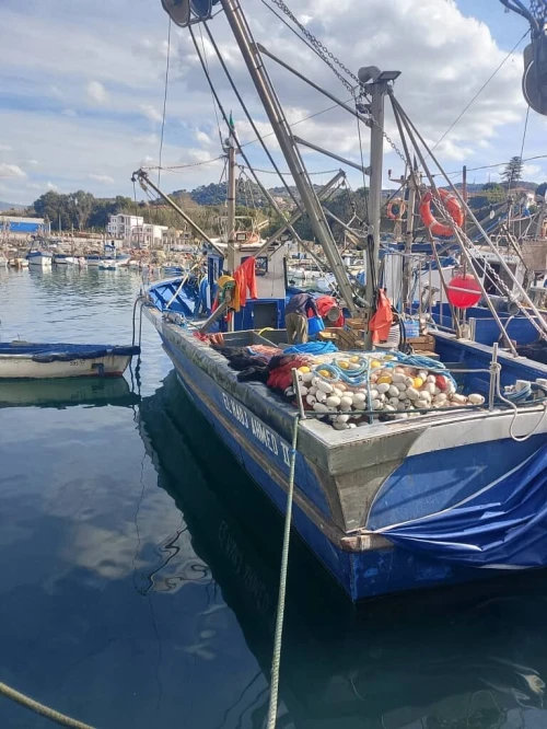 Bateaux sardinier en cours de marche
