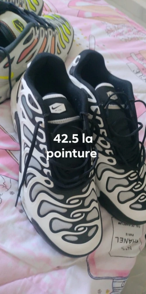 Basket homme Nike Adidas Lacoste originaux