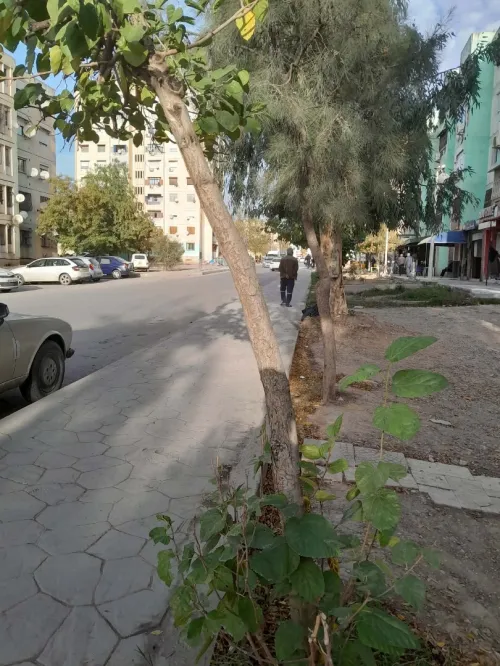 Vente Local Constantine El khroub