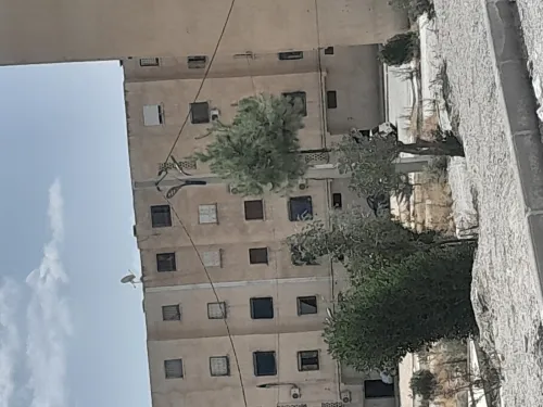 Vente Appartement F3 Oum El Bouaghi Ain beida