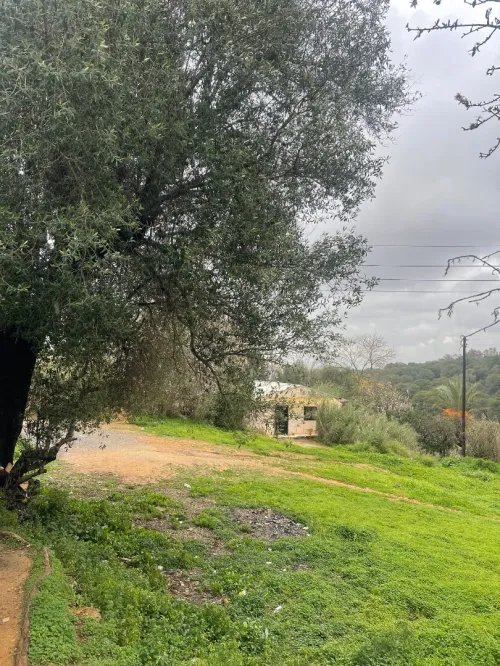 Vente Terrain Alger Draria
