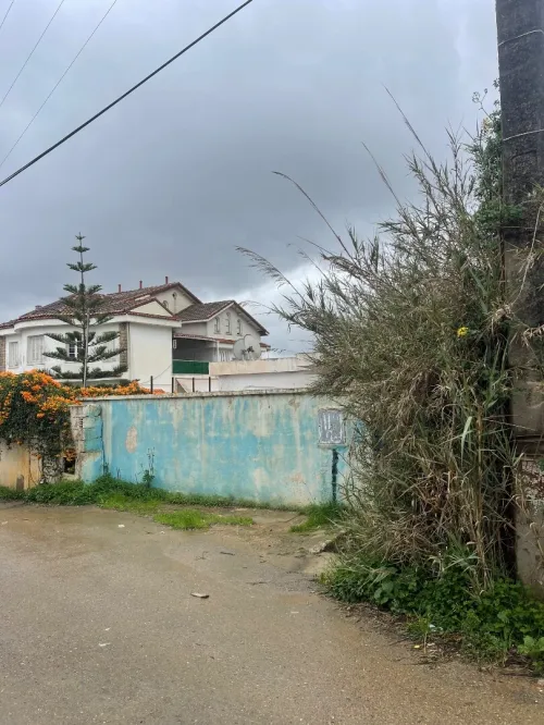 Vente Terrain Alger Draria