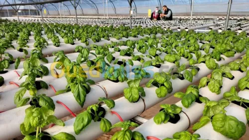 Etudes en investissement, études agricole, conseils en investissement.