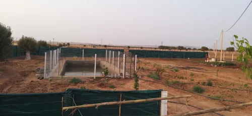 Vente Terrain Agricole Sidi Bel Abbès Hassi dahou