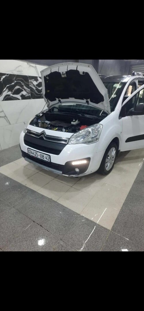 Citroen Berlingo 2018 Berlingo