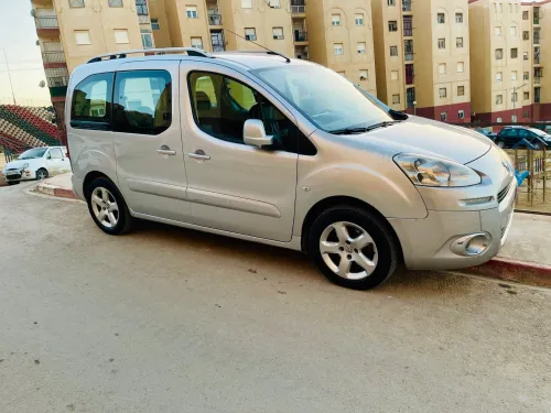 Peugeot Partner 2013 Tepee