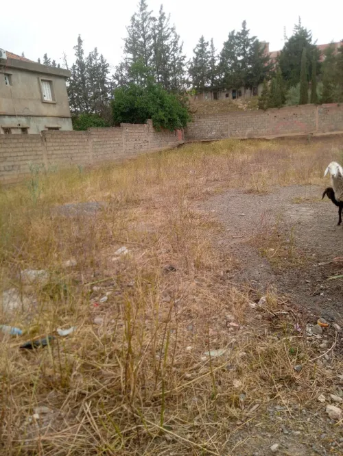 Vente Terrain Bouira Sour el ghouzlane