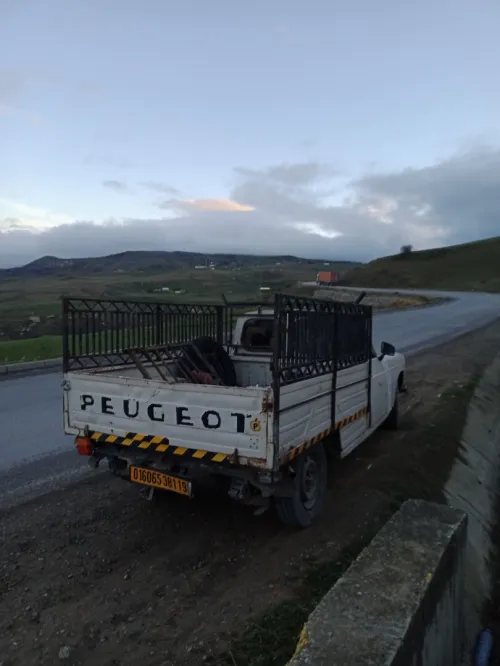Peugeot 404 1981
