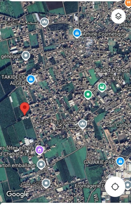 Vente Terrain Alger Ouled chebel