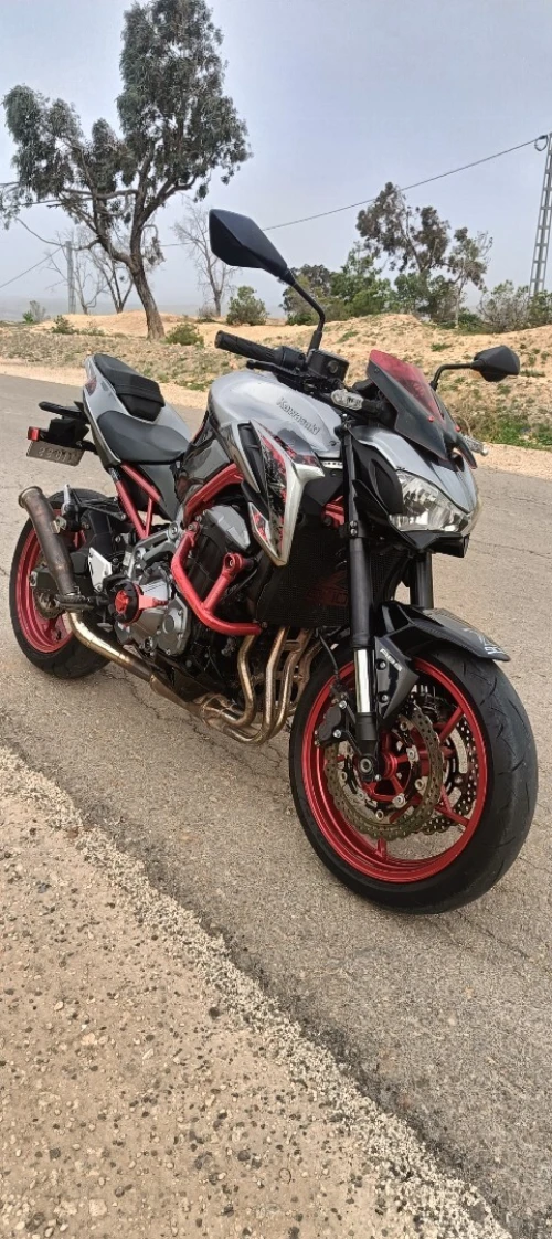 Kawasaki Z900 2019