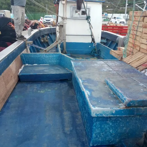 bateaux 