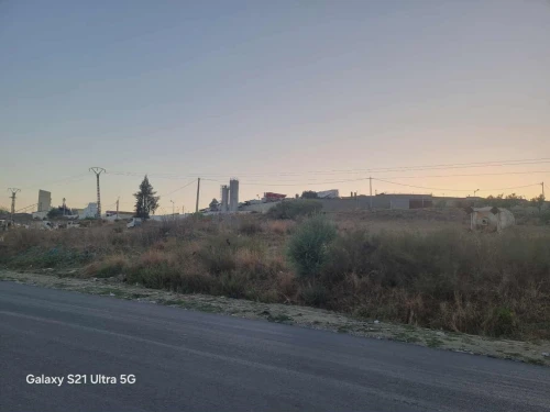 Vente Terrain Tizi Ouzou Ath aissa mimoun
